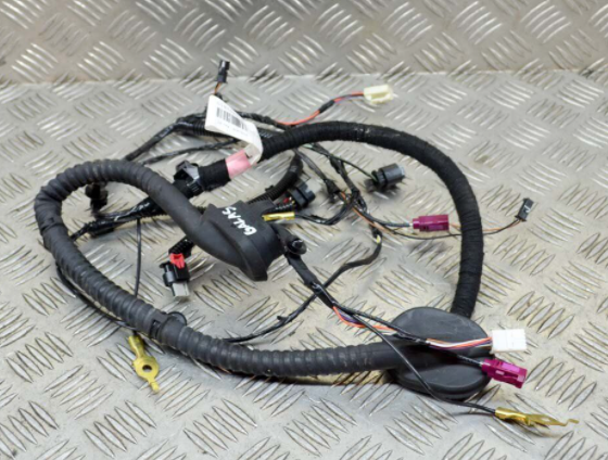 Catalog reference illustration: Inner tail lamp wiring harness — OE 1068789-00-F